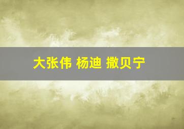 大张伟 杨迪 撒贝宁